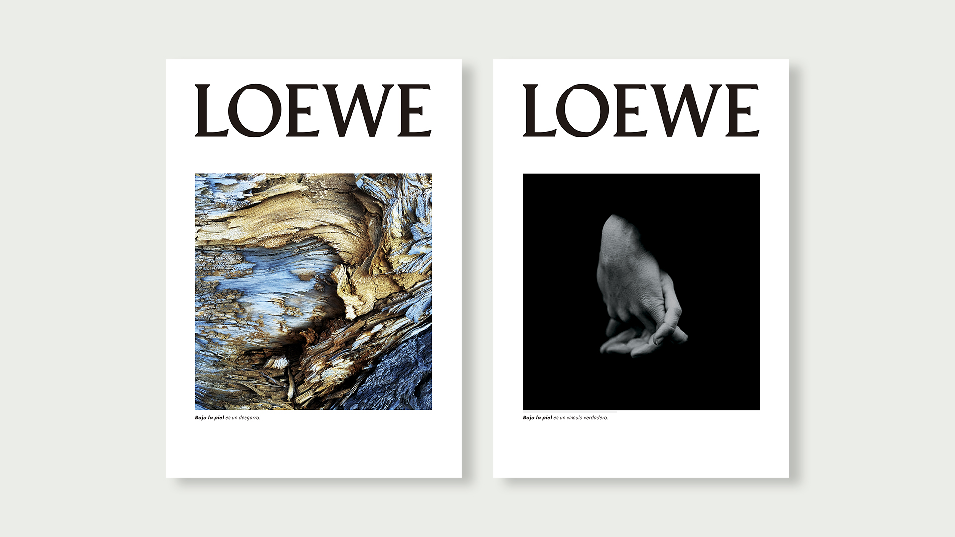 3_loewe